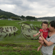 Image for article titled Japan's Amazing Rice Paddy Art Continues to Dazzle